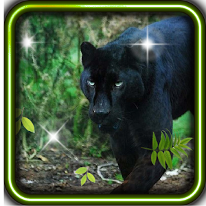 Panther Black Leopard LWP 1.0