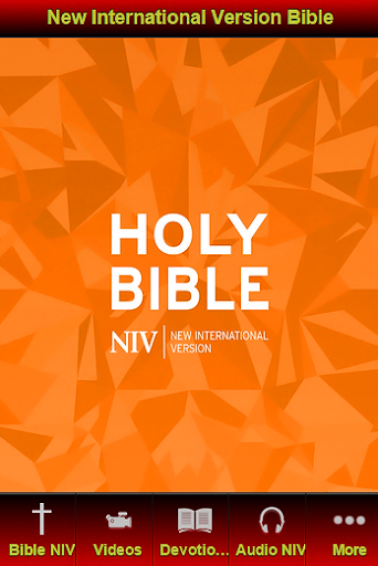 New International Version NIV