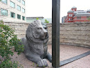 Lion at City Hall