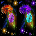 Sunflower LWP !! logo