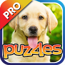 Dog Puzzles Pro mobile app icon