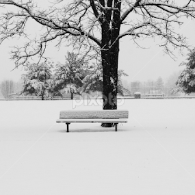 by Tricia Goode - City,  Street & Park City Parks