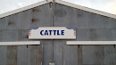 SCFF Cattle Barn