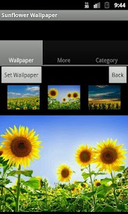 Sunflower Wallpaper Screenshots 3