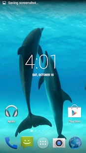 download Dolphins HD. Video Wallpaper free