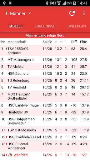 VfL Wanfried Handball