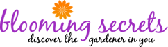 Blooming Secrets Logo
