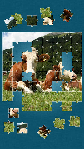 Cows Jigsaw Puzzle