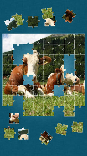 【免費解謎App】Cows Jigsaw Puzzle-APP點子