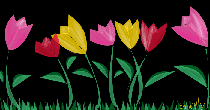 Tulips