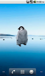 Emperor Penguin Sticker poster 4