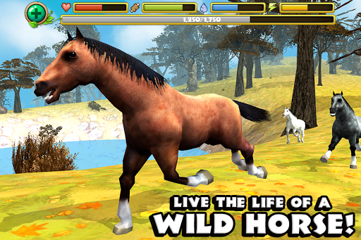 Wild Horse Simulator