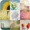 Photos, Wallpapers Collection mobile app icon
