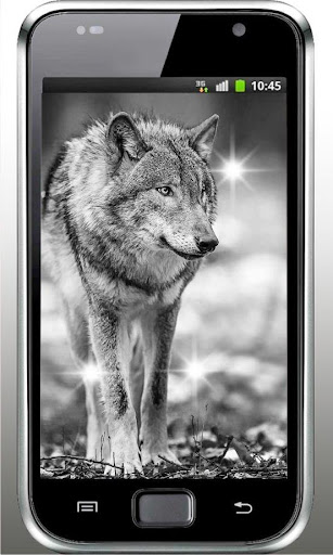 Wolves Voices HD liv wallpaper