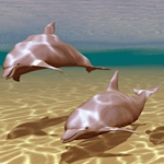 Dolphins Under Sea Live Wallpa Apk