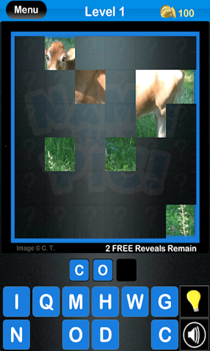 【免費解謎App】Name that Pic!-APP點子