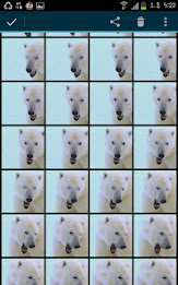 Quick Burst Shot (License) poster 2