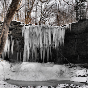 Charleston Falls by Beverly Combs - Landscapes Weather