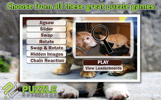 Free Dogs and Cats Puzzles