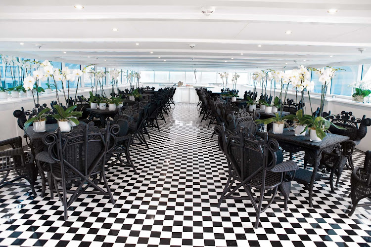 Dine with your loved one or with new friends in the S.S. Antoinette L'Orangerie Lounge during your Rhine River cruise.