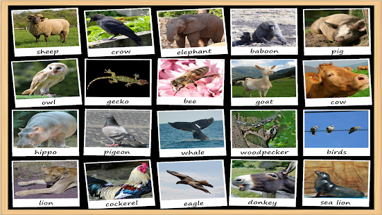 How to mod Animal Sounds Soundboard lastet apk for pc