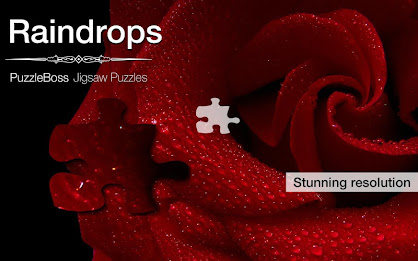 Raindrop Jigsaw Puzzles Demo poster 9