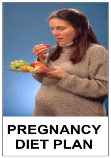 Pregnancy Diet Plan