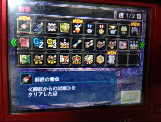 Mh4g 村クエ最後 師匠からの試練 攻略メモ 星空日記