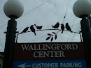 Wallingford Center Birds