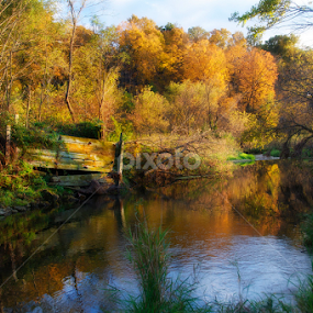 Galena, Illinois  by Jim Signorelli - Landscapes Forests