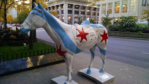 Chicago Police Horse