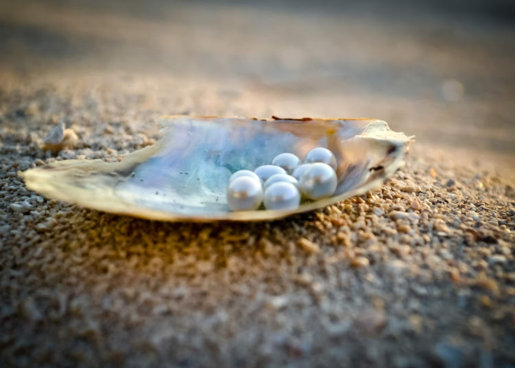 A visit to a pearl farm in Cozumel. 