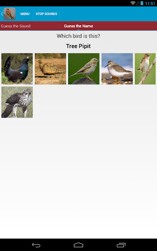 免費下載教育APP|Spanish Birds Sounds app開箱文|APP開箱王