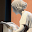 諸子百家合集 Download on Windows