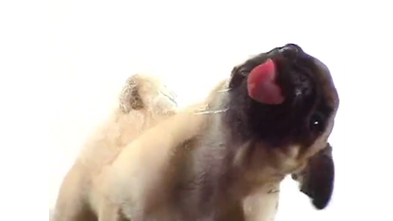 Download Screen Cleaner Prank APK for PC