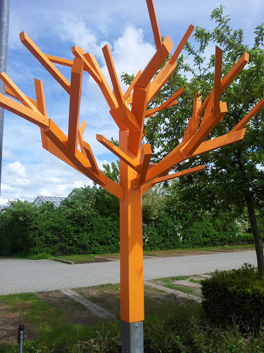 Oranger Baum