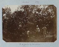 In de gronden op Maasstroom