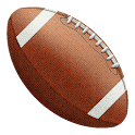 Carolina Panthers News logo