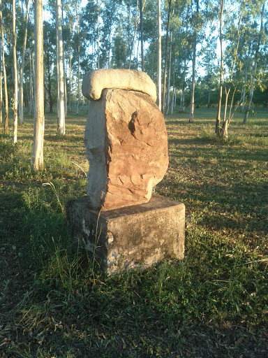 Ñu Guazu Piedra 5