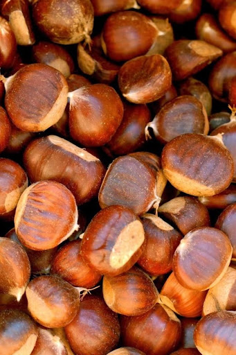 Chestnuts Free Live Wallpaper