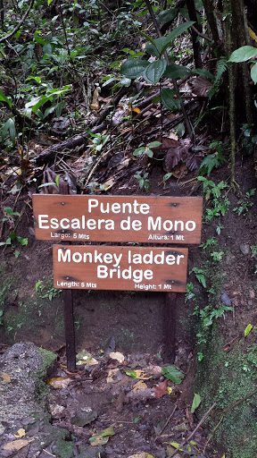 Monkey Ladder Bridge - Arenal Hanging Bridges