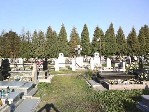Cmentarz Wojskowy