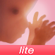 Pregnancy icon
