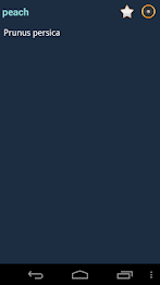 English Multiple Languages poster 2