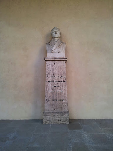 Statua di Pietro Gioia 