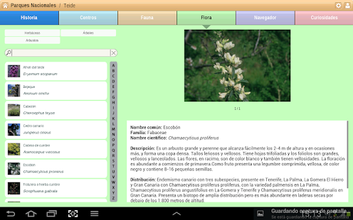 Teide Parque Nacional Screenshots 4
