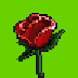 Counting Roses
