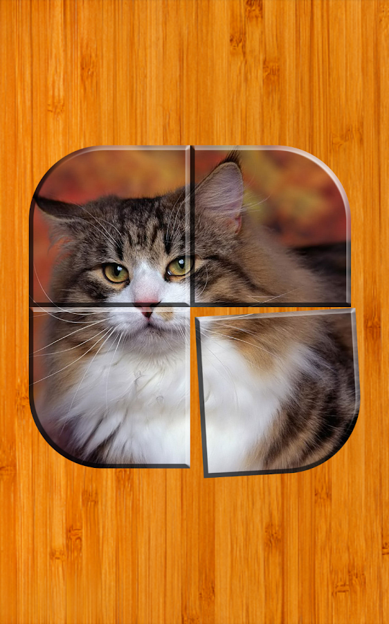 Best Cat Puzzle Games Free Android Apps on Google Play