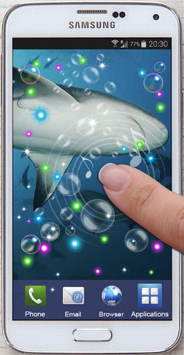 免費下載個人化APP|White Shark HQ live wallpaper app開箱文|APP開箱王