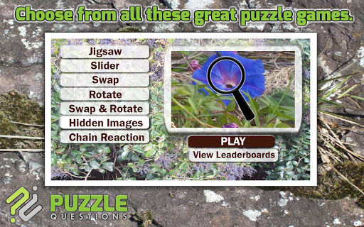 Free Wild Flowers Puzzle Games